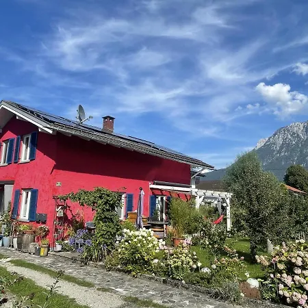 Seidenhuhn Kiefersfelden